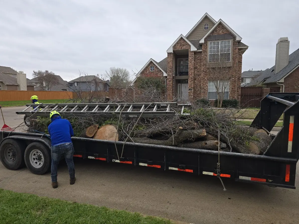 Expert Tree Removal with proper safety equipment in Boyne City